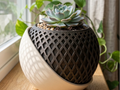 Two-tone plant pot