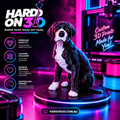 Custom 3D - Pet print (Deposit)