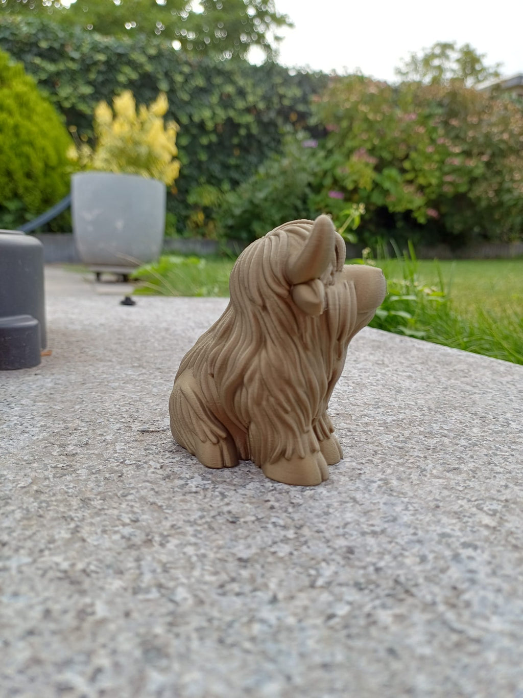 Chubby Highland Cow