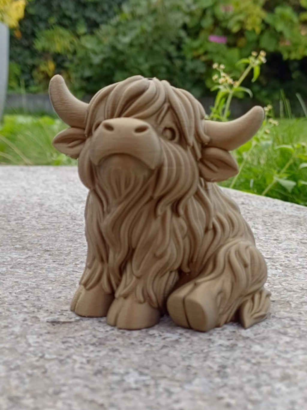 Chubby Highland Cow
